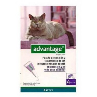 Advantage gatos de más de 4 kg 4 pipetas